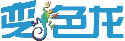 变色龙电子商务有限公司